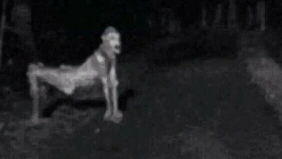 skinwalker фото