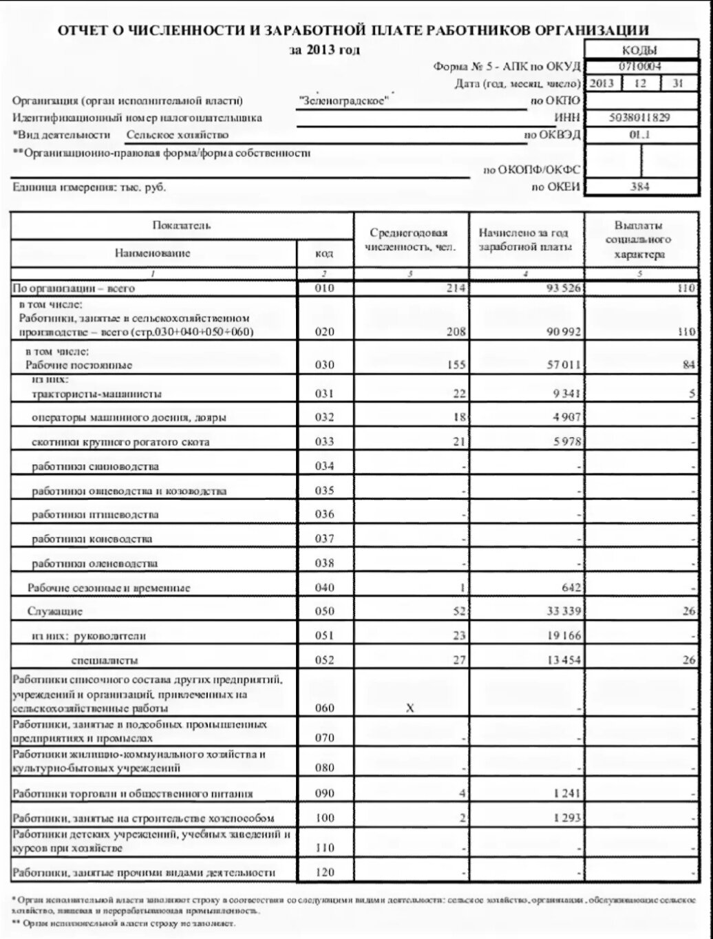 формы отчетности фото