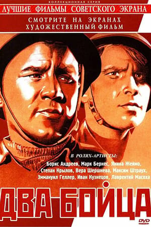 Постер Два бойца