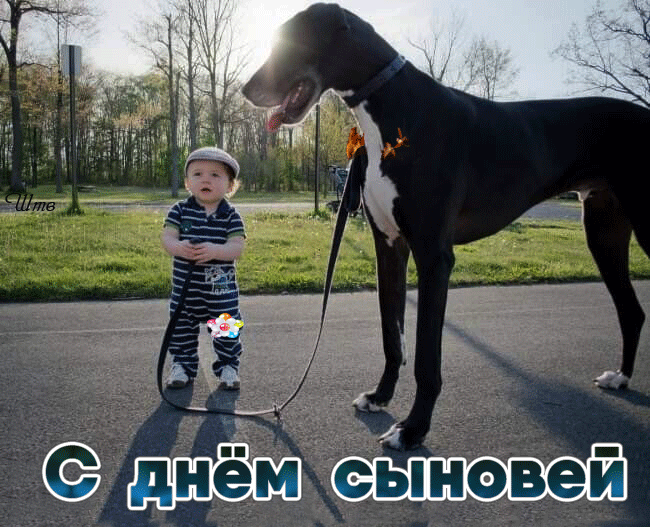 С Днем сыновей !