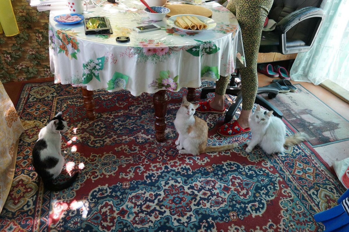 Народ требует вафель! 