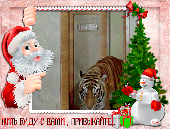 Новогодняя смешная картинка с тигром
