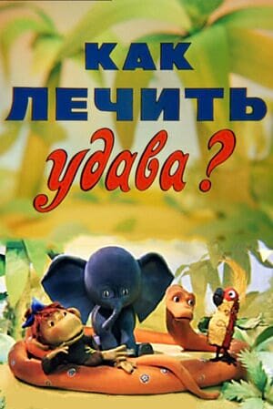 Постер Как лечить удава?