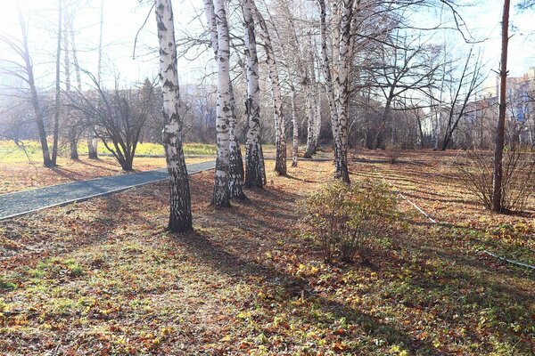 итоги конкурса ФОТО НЕДЕЛИ в клубе