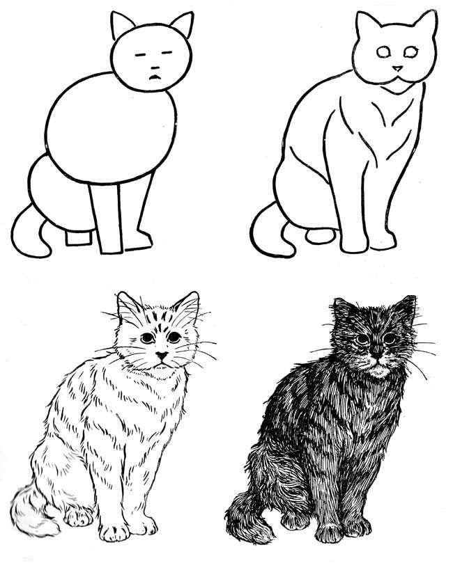 схема рисования кошки фото
