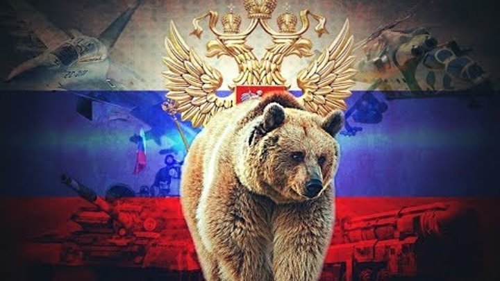 медведь россия фото