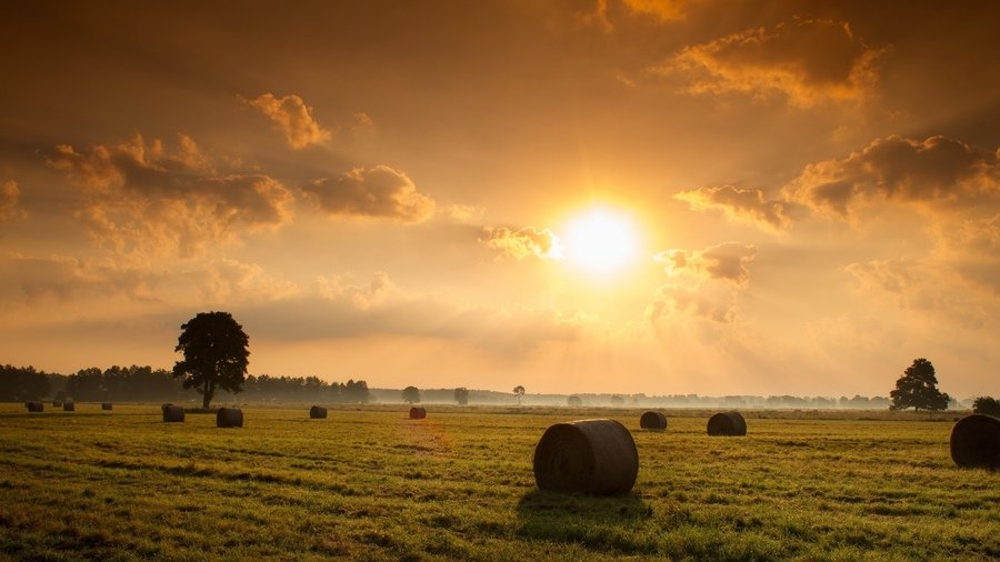 фон закат в поле фото