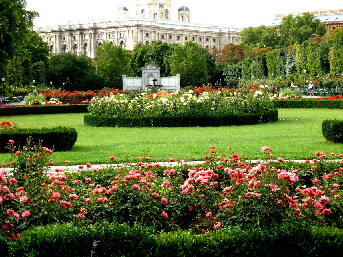 парк фольксгартен в вене фото