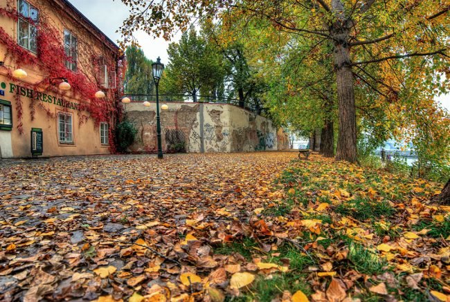 осень городская фото