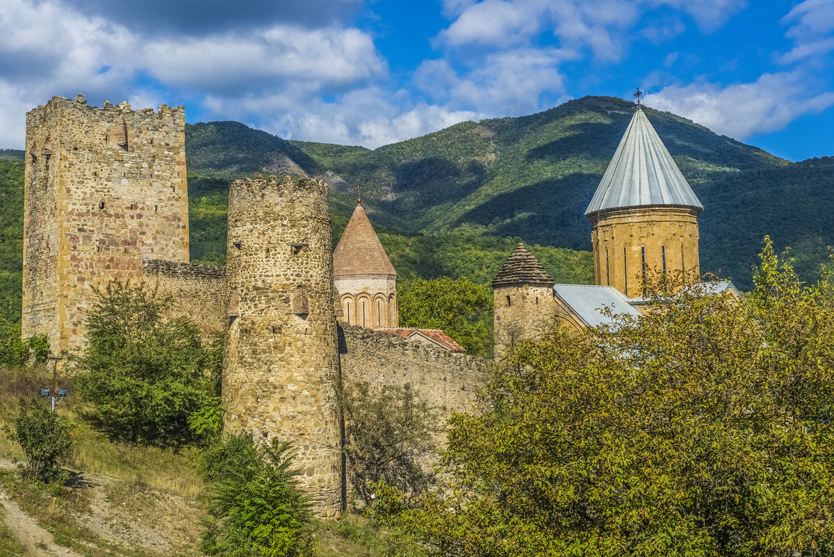 ананури грузия фото