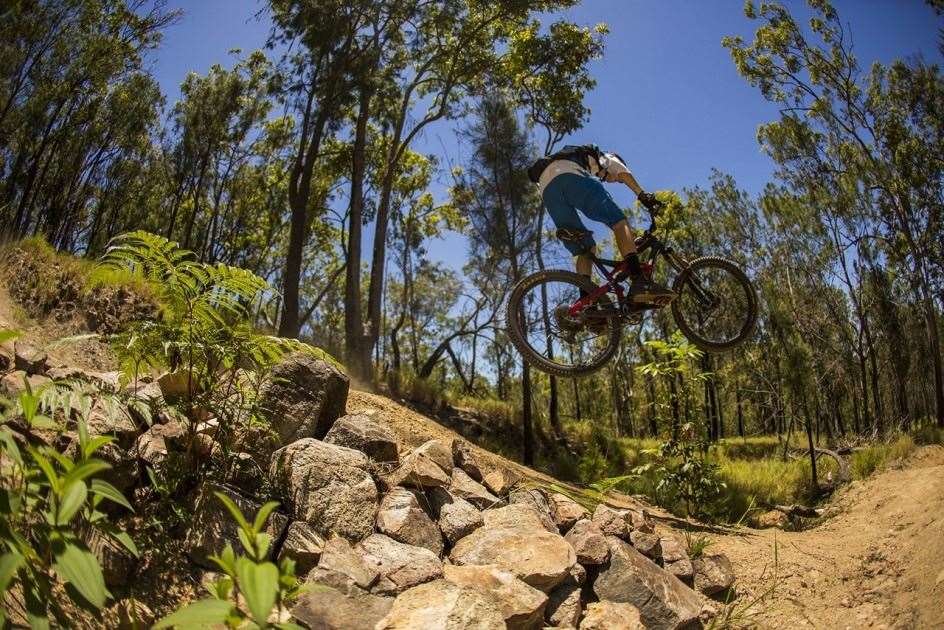 mountain bike фото