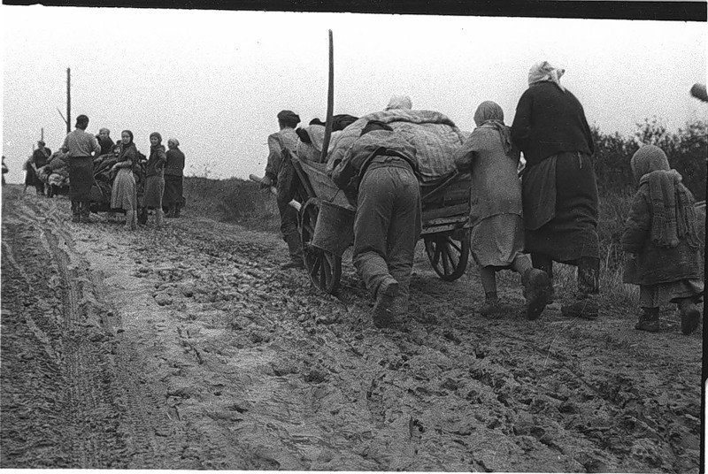 беженцы в первые дни войны 1941-1945 фото