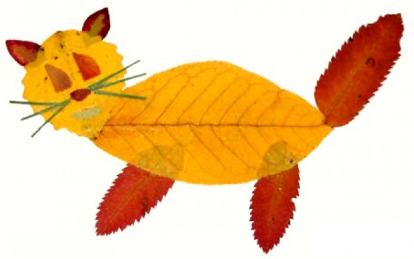 �������� �� �������, ��� �������� ����