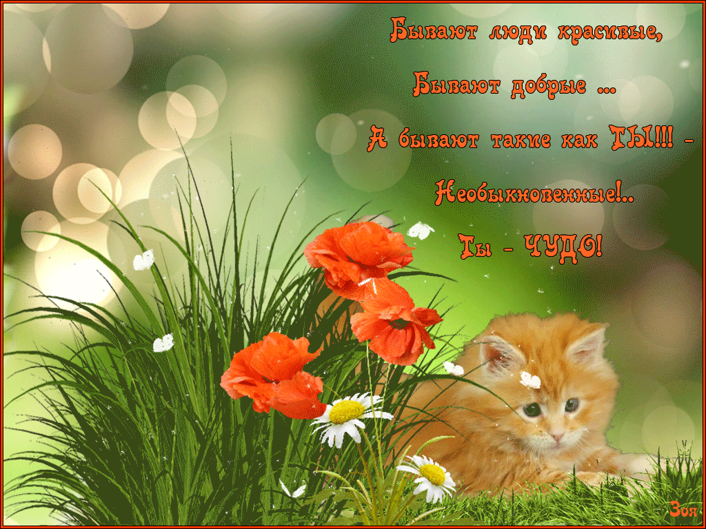 ��������, �������� �� ����� ���������� ��������