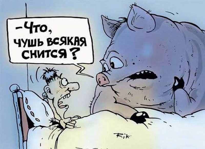 �������� ��� ��� ����������, ������