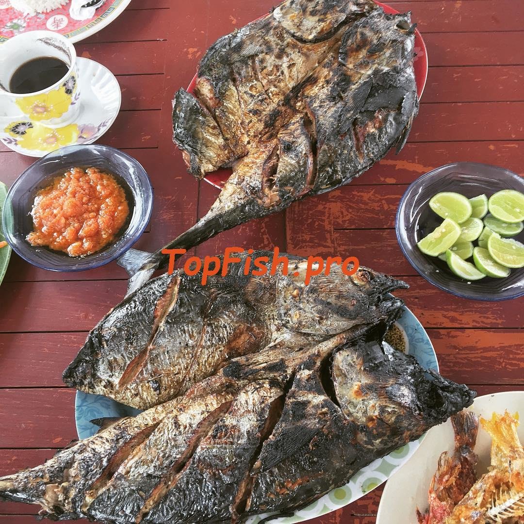 ikan bakar фото