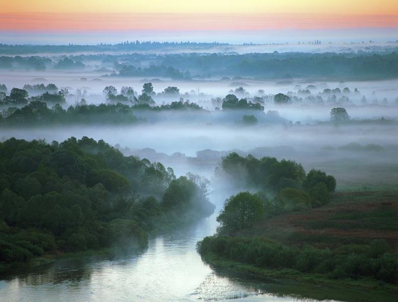 река нерусса брянский лес фото
