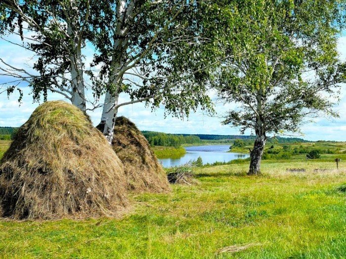 картинки сенокос в деревне фото