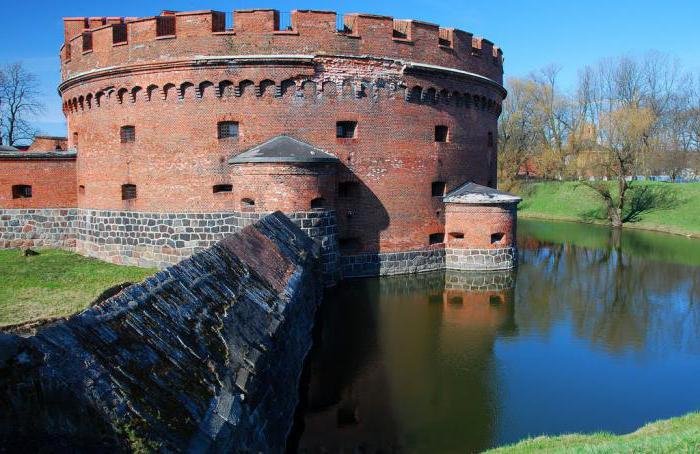 башня дер дона музей янтаря фото