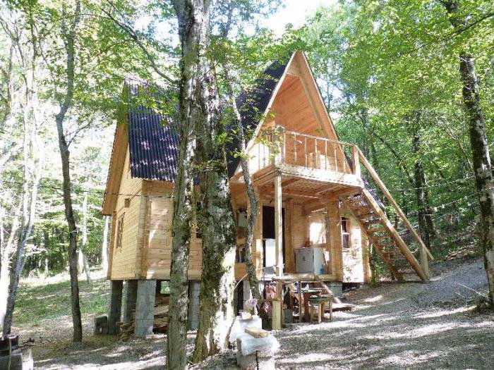 бетта турбаза лесной рай фото