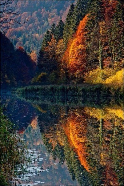 осень река фото