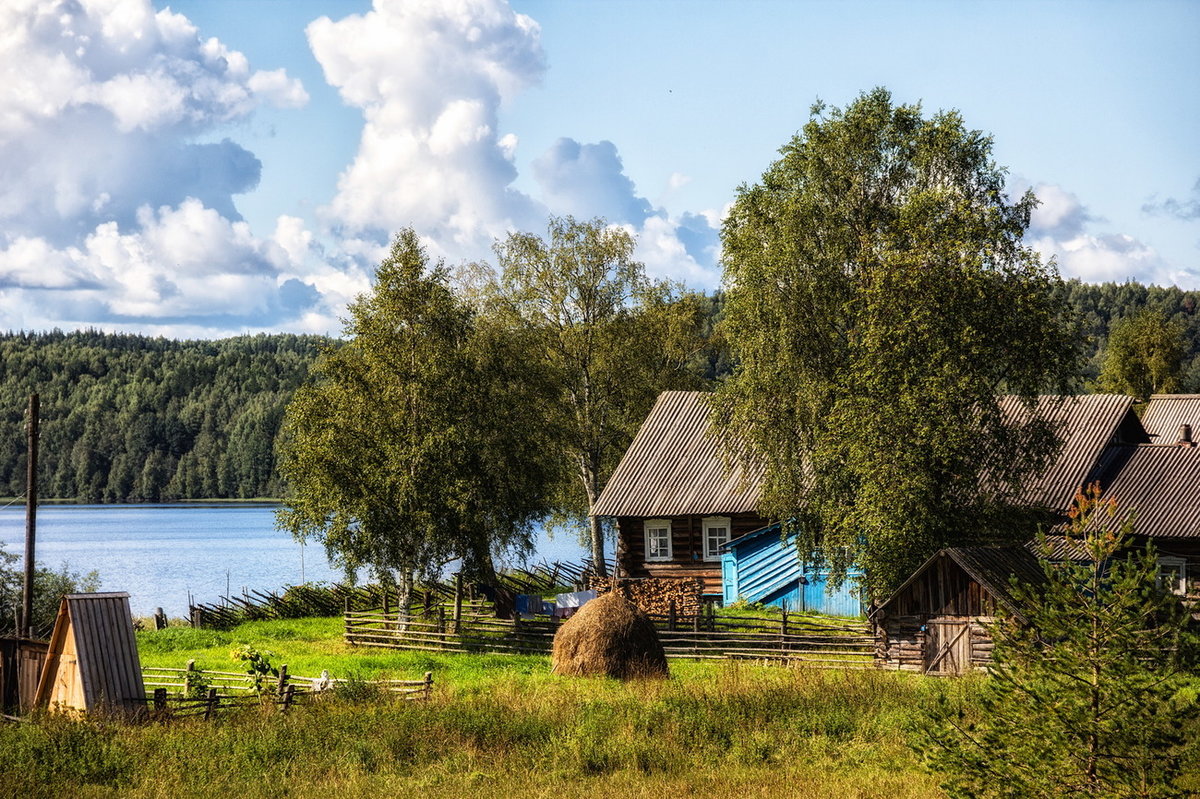 лето в деревне фото