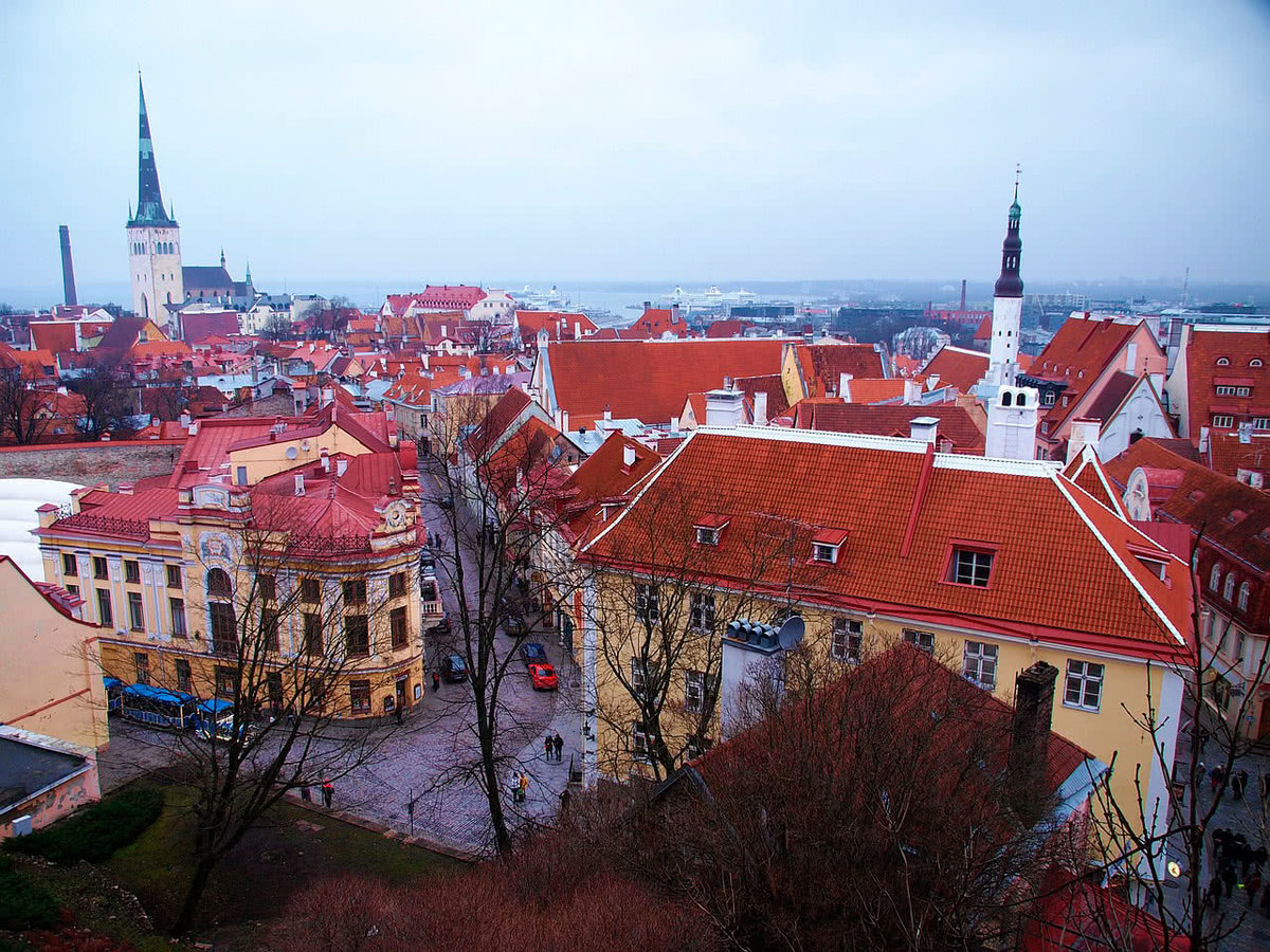 европейский город таллин фото