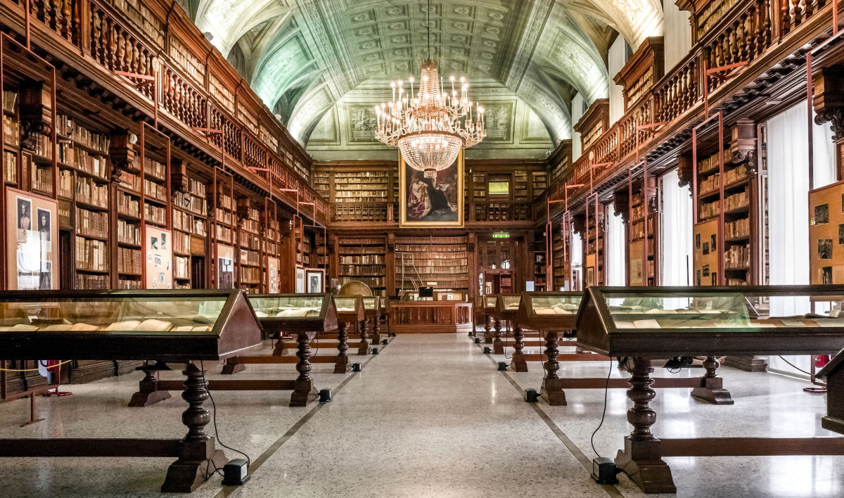 biblioteca фото