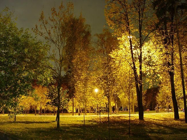 осенней ночью фото