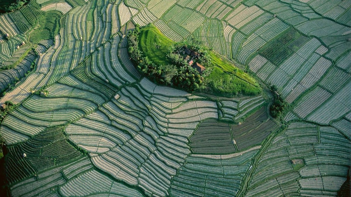 yann arthus-bertrand фото