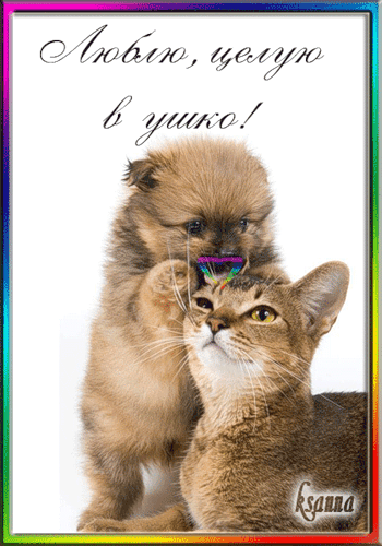 �������� � ��� �����, ���������