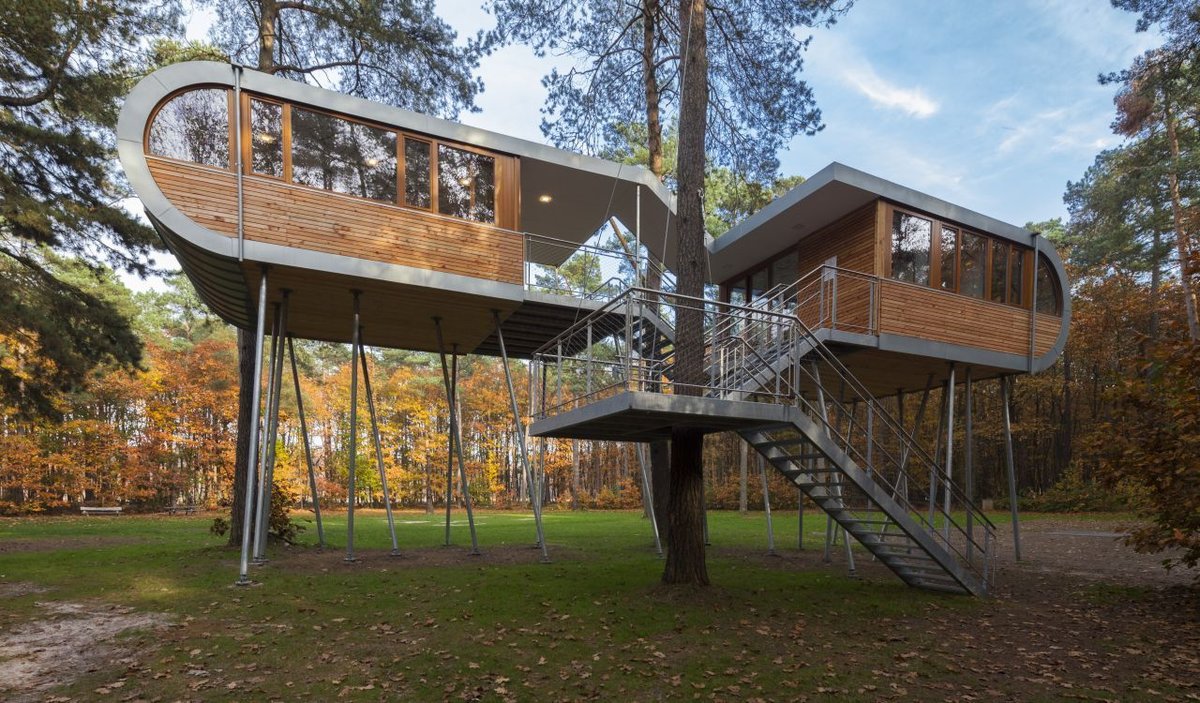 дом на дереве (treehouse) баумраум фото