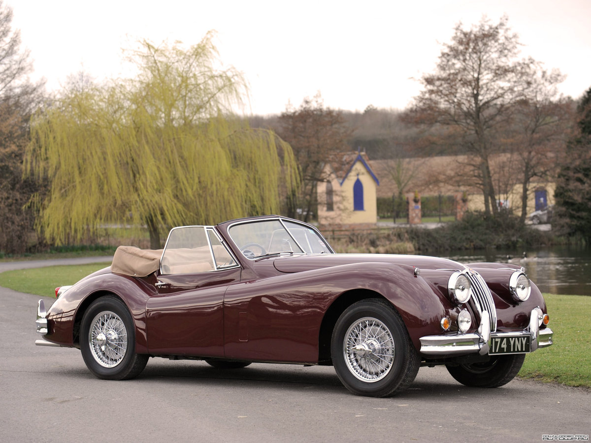 jaguar xk140 фото