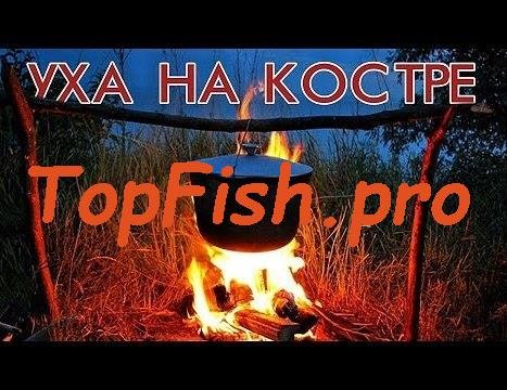 на костёр фото
