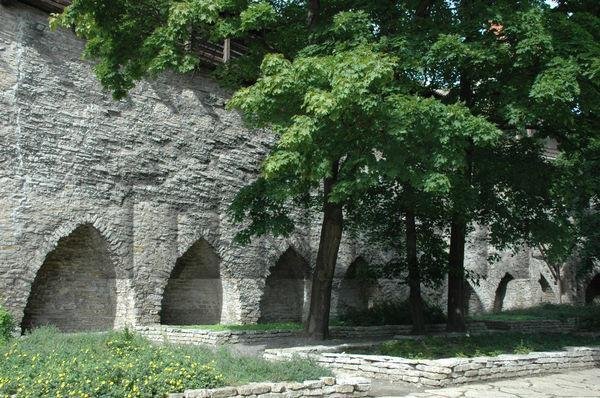 сад датского короля фото