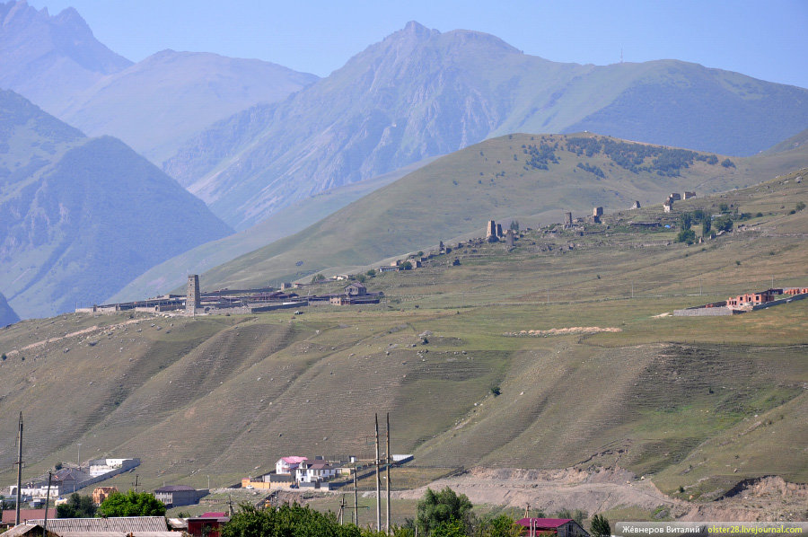 цмити фиагдон фото