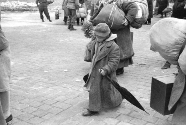 ребенок, освобожденный из концлагеря, дессау — германия, 1945 фото