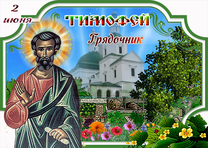 Тимофей Грядочник