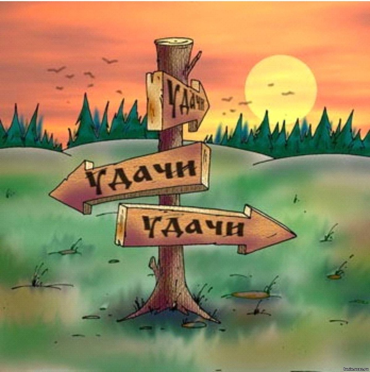 �������� ���, ����������� �������� � ���� ��������