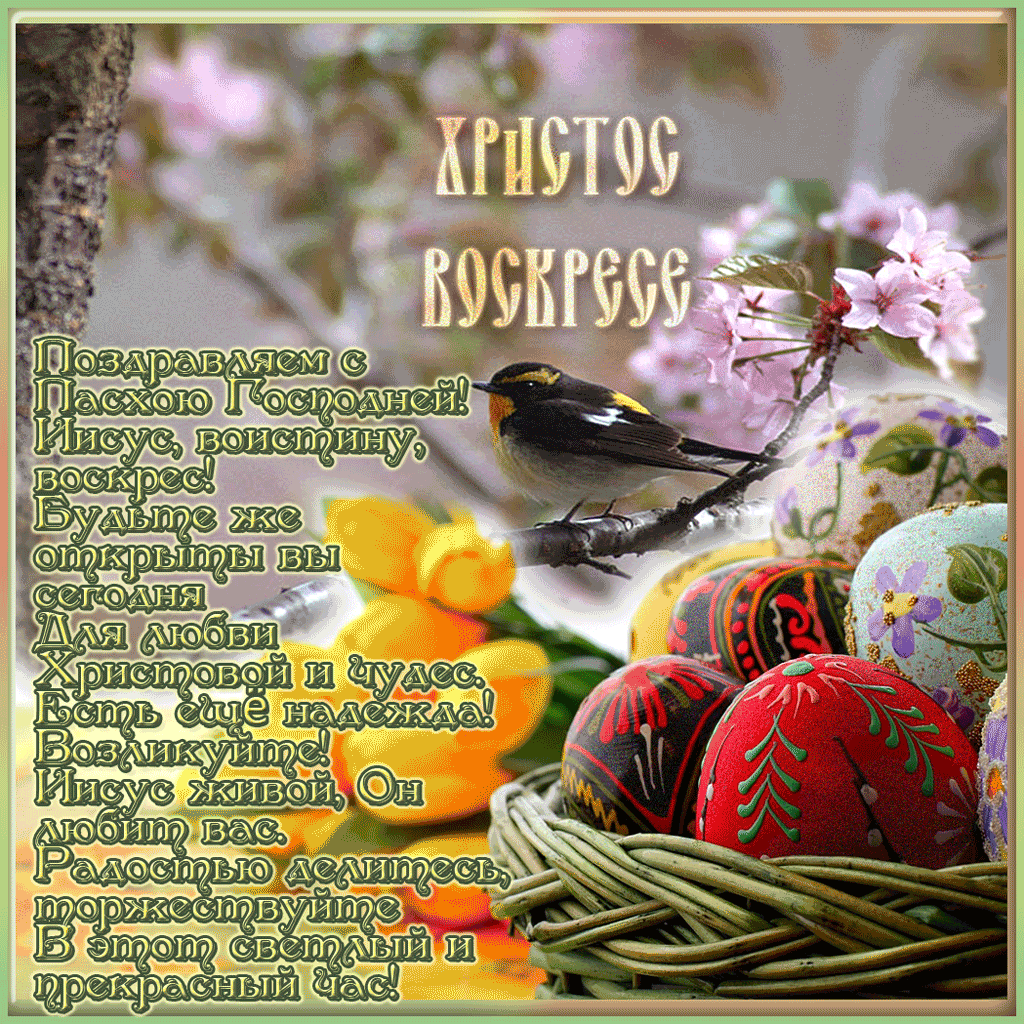 ������������ � ����� � ������ � ���������