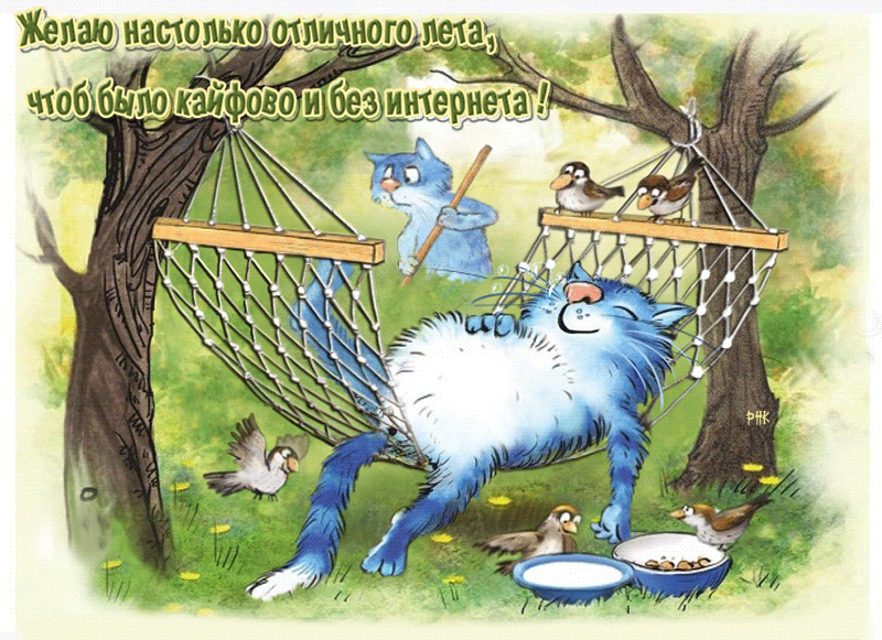 gif , gif animated  ,    ,,,   ,  
