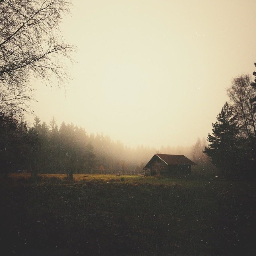 туманные пейзажи фото