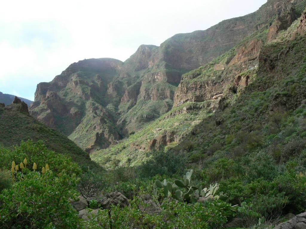 ущелье гуайядэке фото