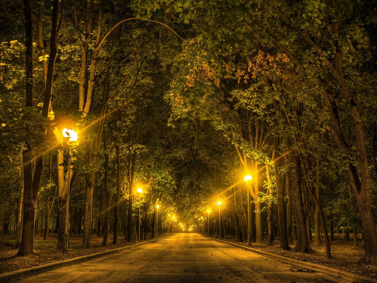 ночной парк фото