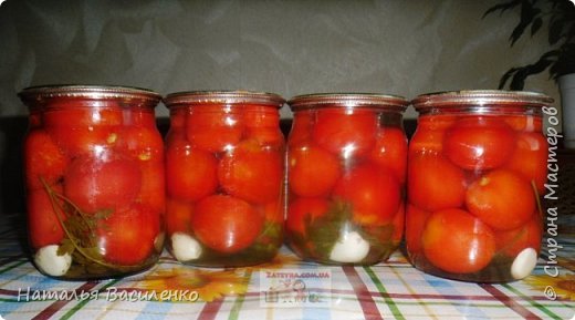 маринованные помидоры фото