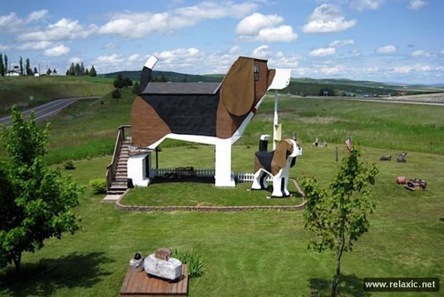 dog bark park inn сша, айдахо, коттонвуд фото
