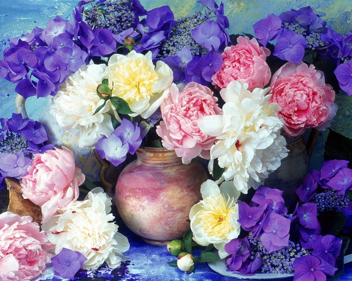 ����� ����� � ���������, ��������� ���