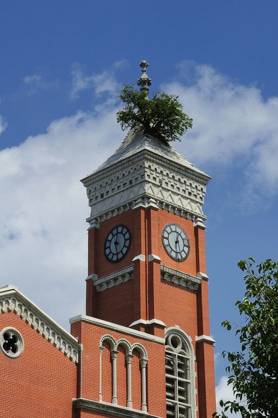 greensburg tower tree то фото