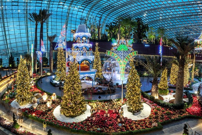сингапур, оранжерея 'flower dome'. фото