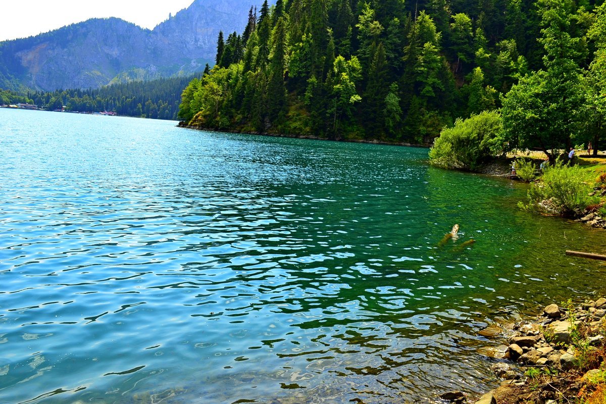 рица абхазия озеро фото
